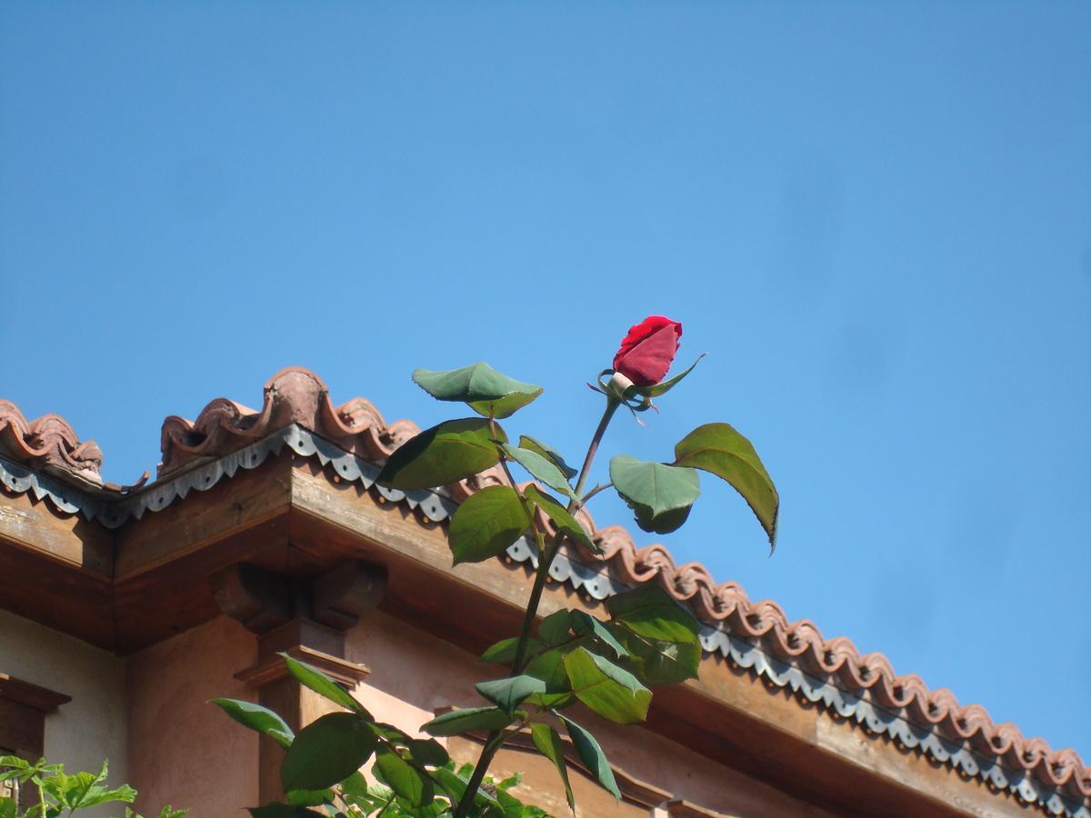 Oikia Alexandrou Traditional Inn Arnaia Luaran gambar