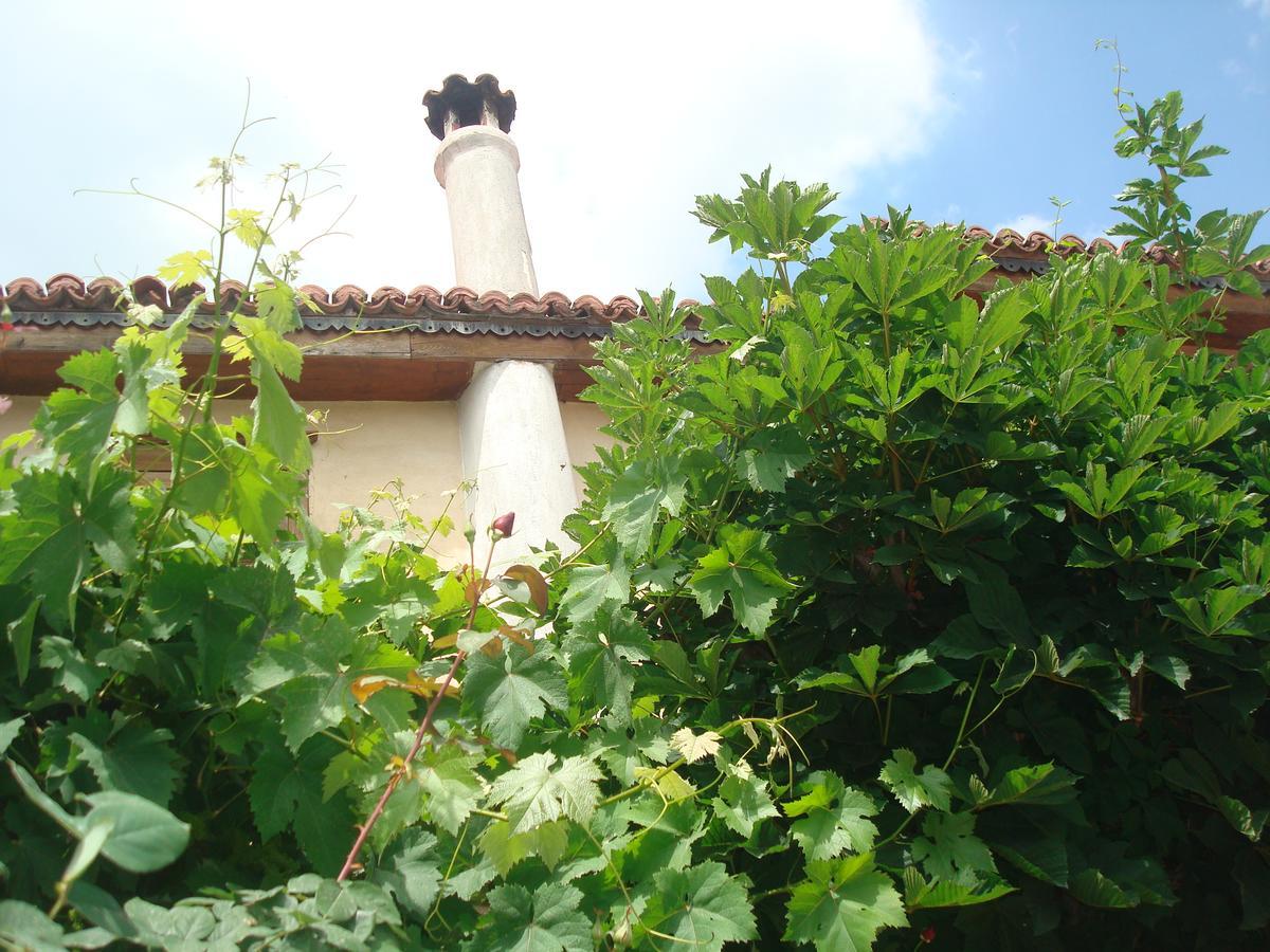 Oikia Alexandrou Traditional Inn Arnaia Luaran gambar